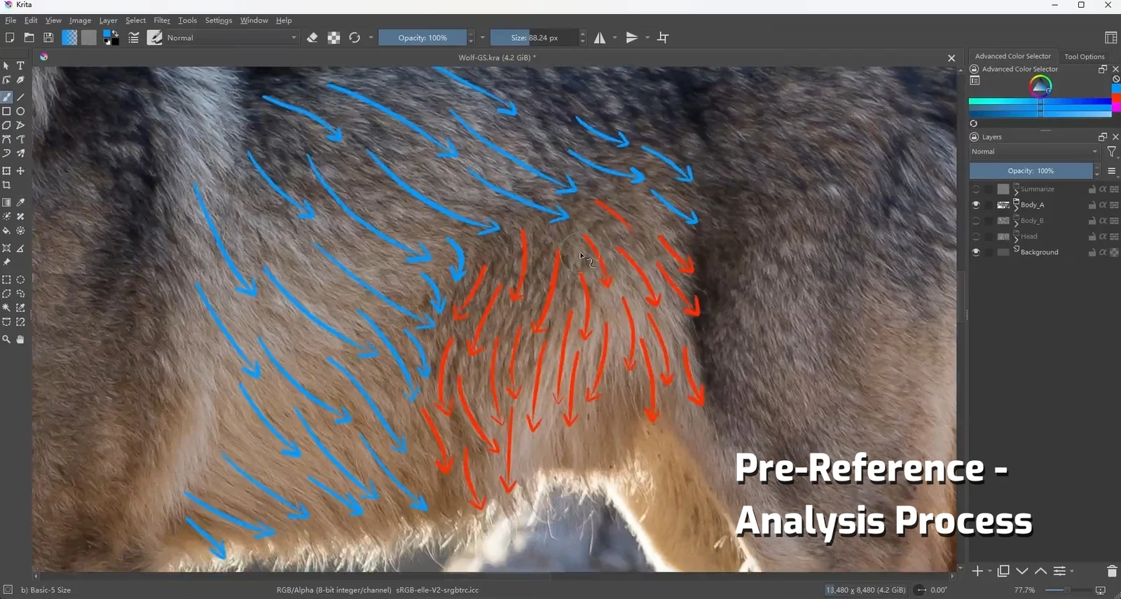 Animal Hair Grooming Tutorial screenshot 2
