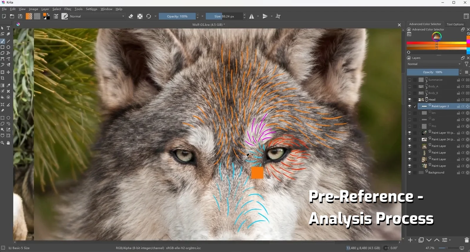 Animal Hair Grooming Tutorial screenshot 4