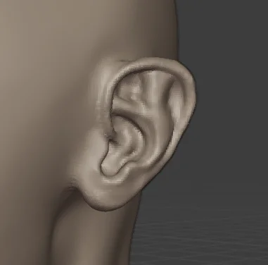 Sculpting Head Base Mesh screenshot 5