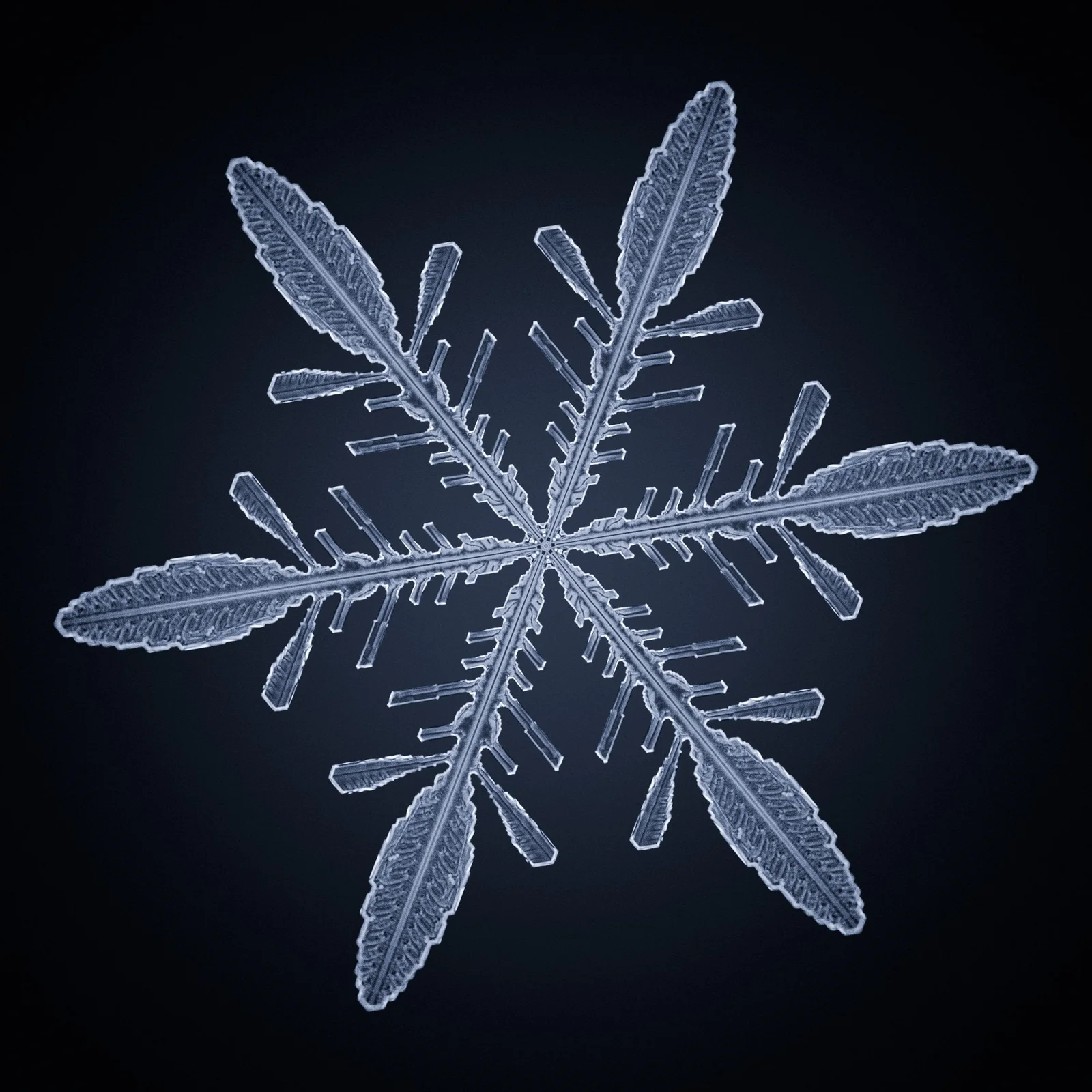 Snowflake screenshot 3
