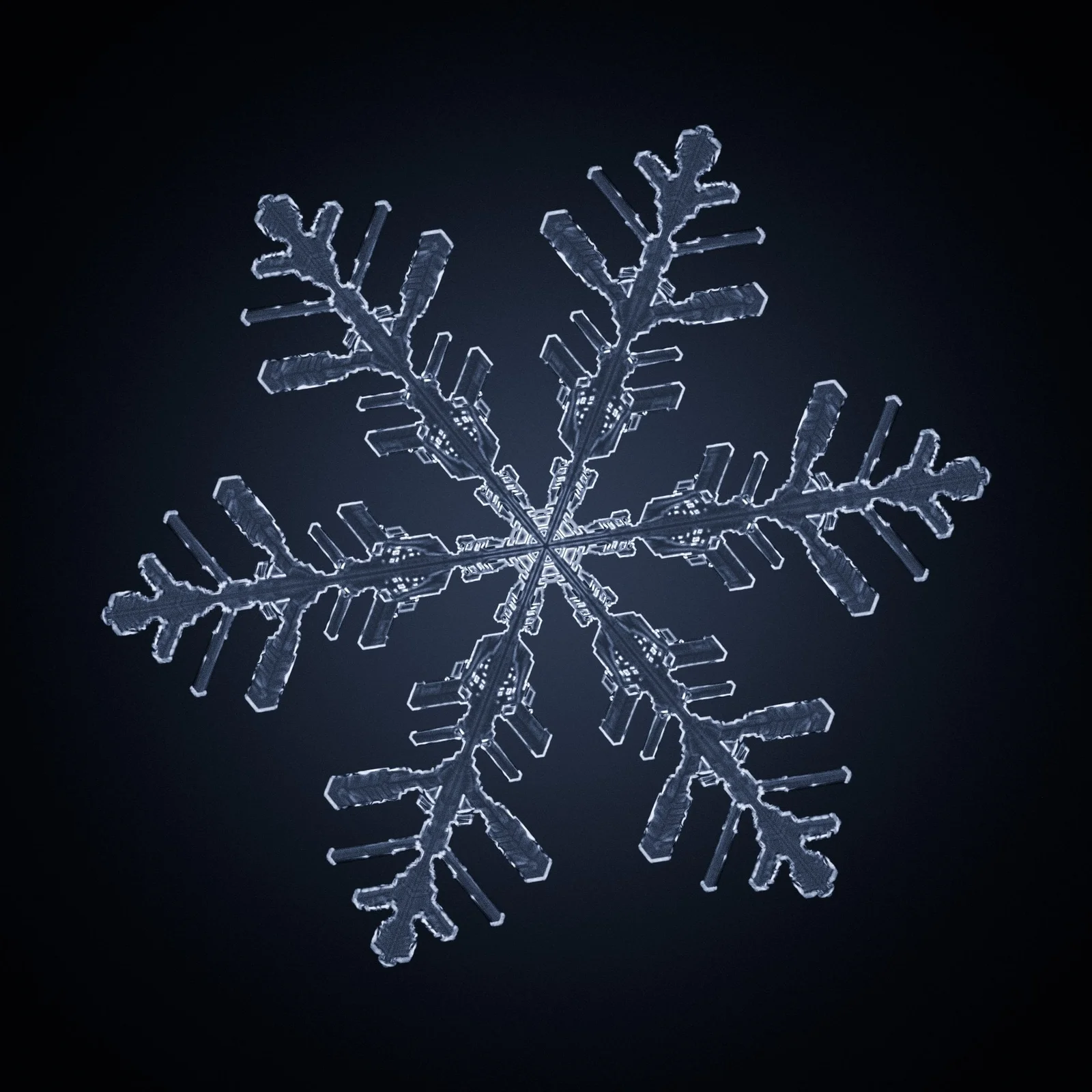 Snowflake screenshot 5