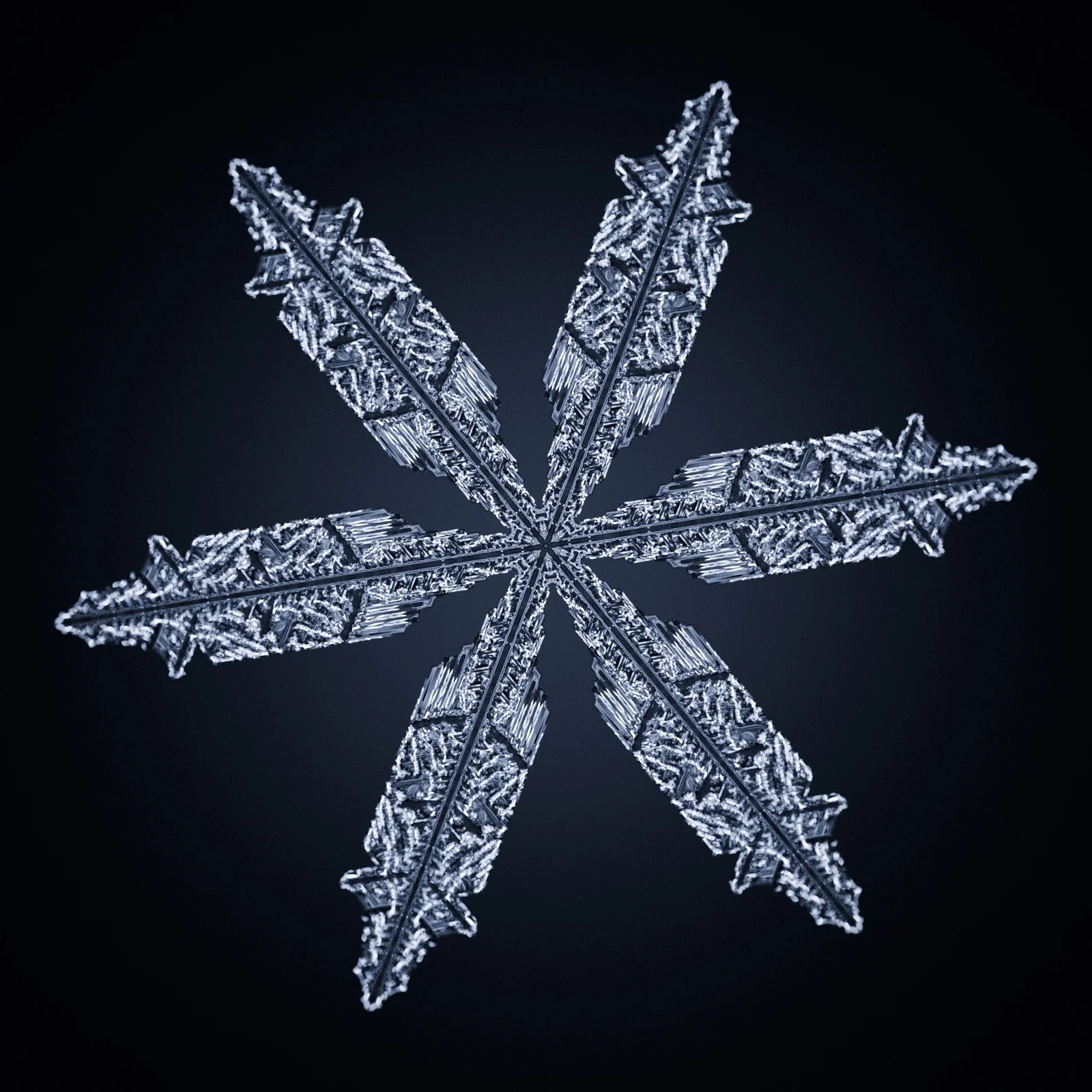 Snowflake screenshot 6