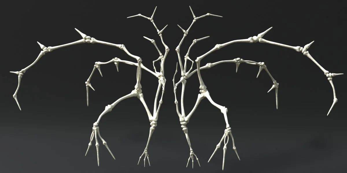 Bone Nodes screenshot 3