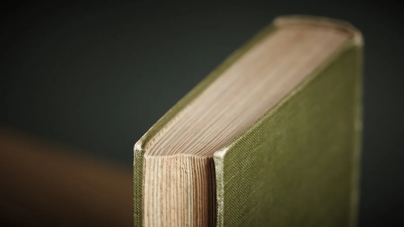 Brinckmans Werke Book screenshot 7