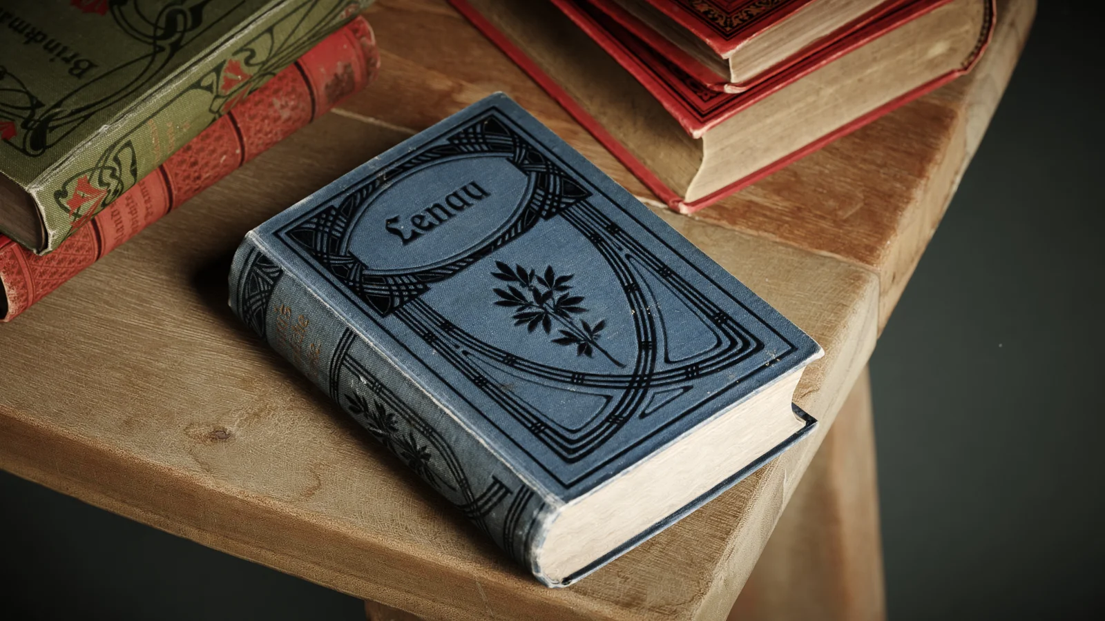 Lenaus Werke Book screenshot 5