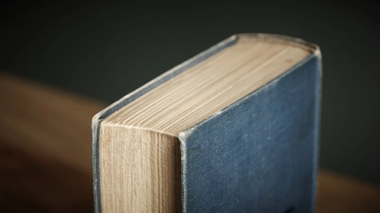 Lenaus Werke Book screenshot 7