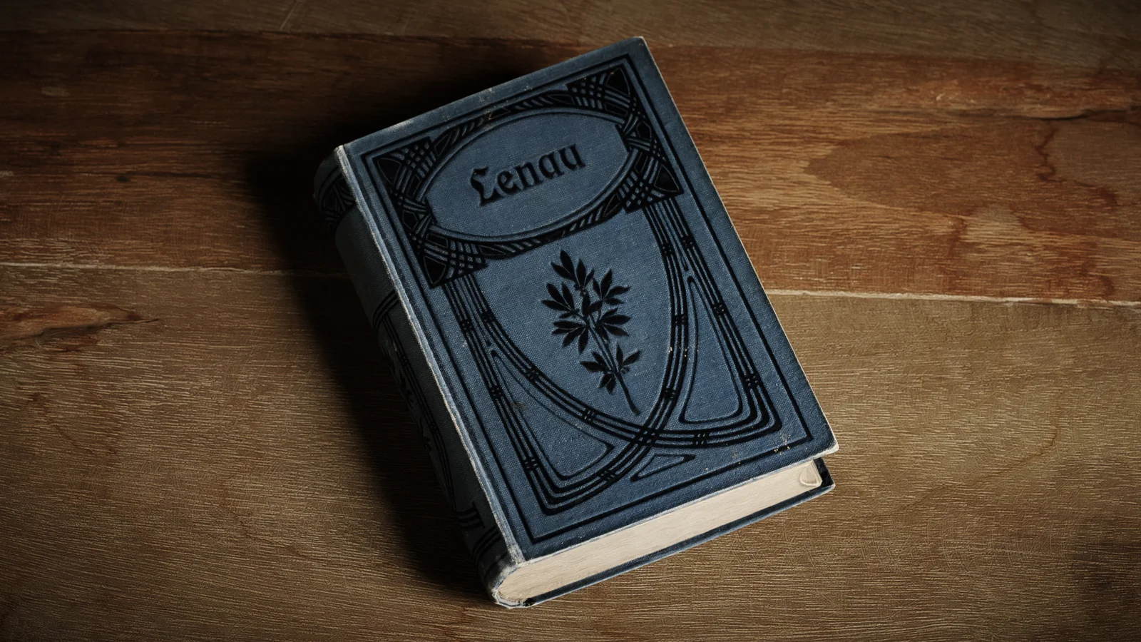 Lenaus Werke Book screenshot 8