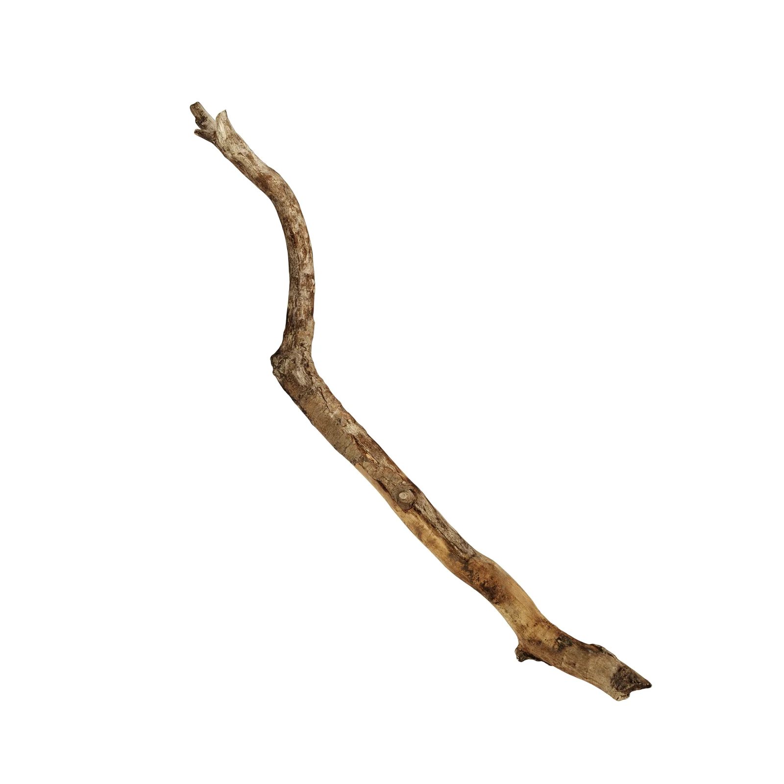 Branch 1 screenshot 3