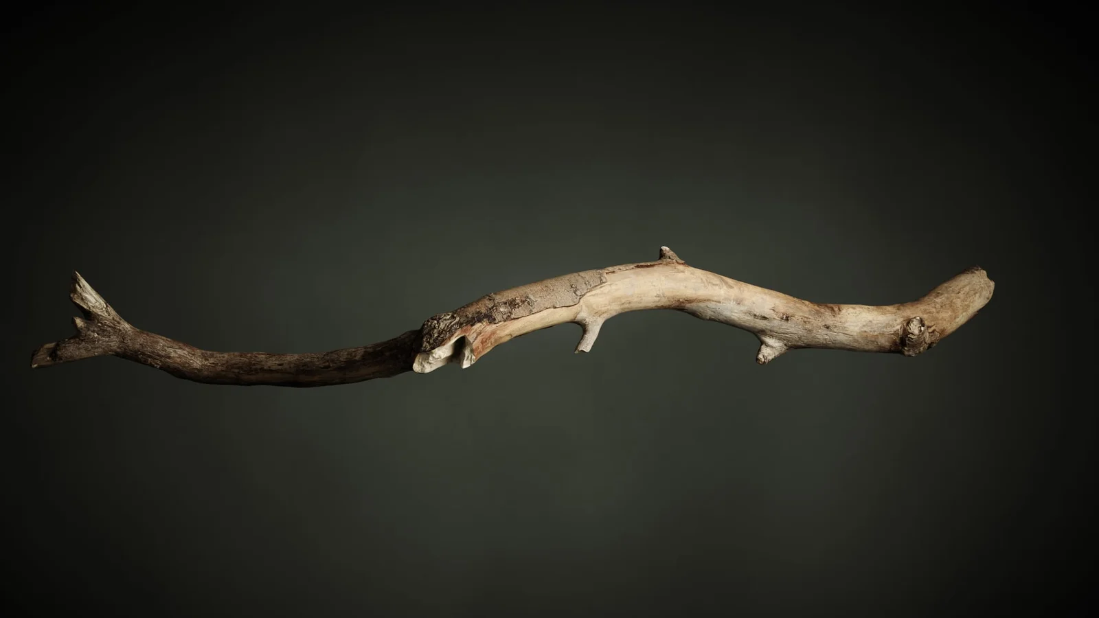 Branch 1 screenshot 5