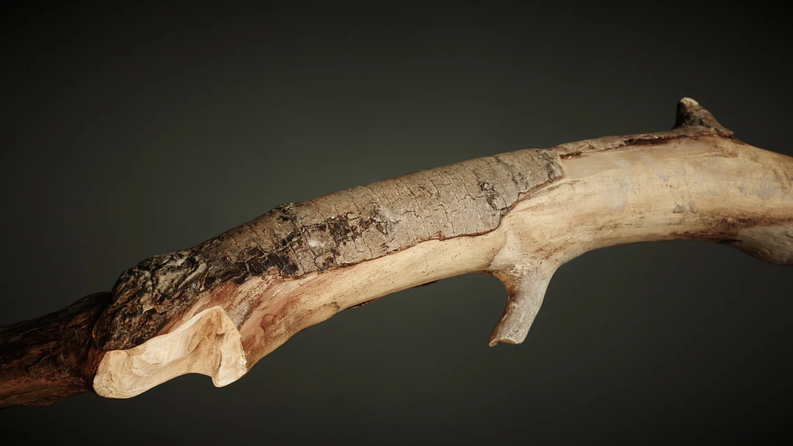 Branch 1 screenshot 6