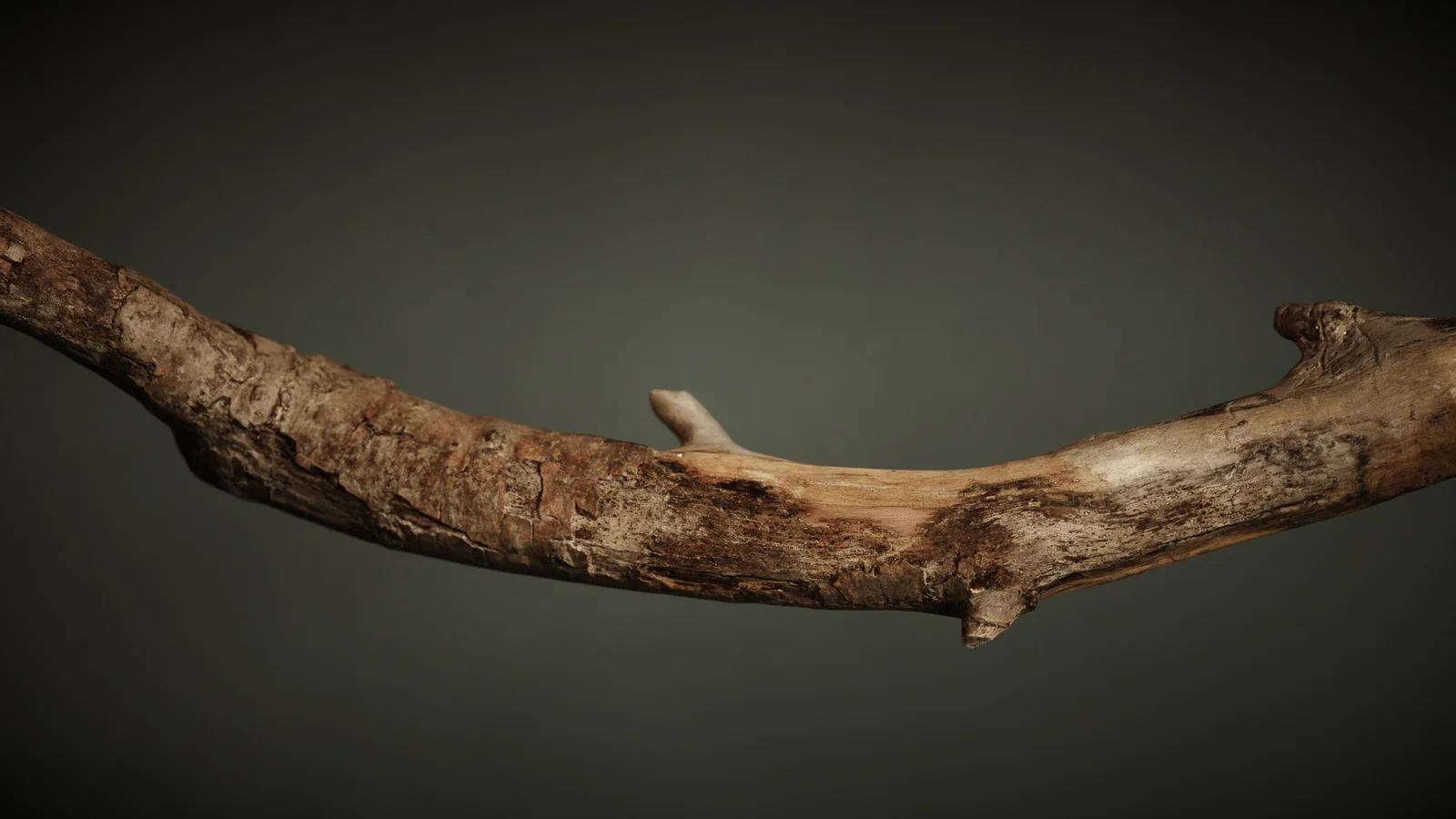 Branch 1 screenshot 7