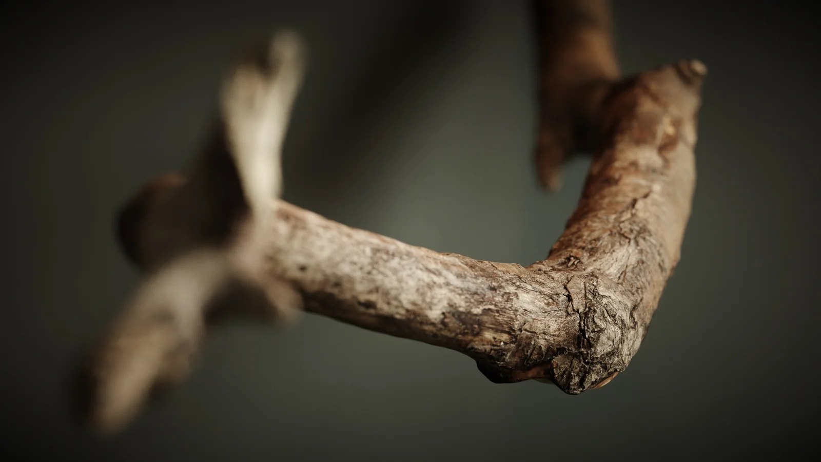 Branch 1 screenshot 8