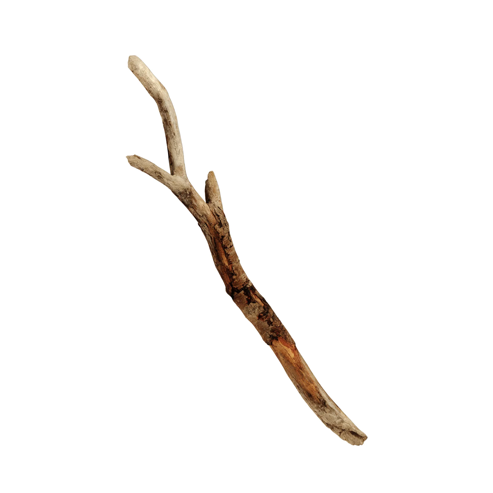 Branch 2 screenshot 3