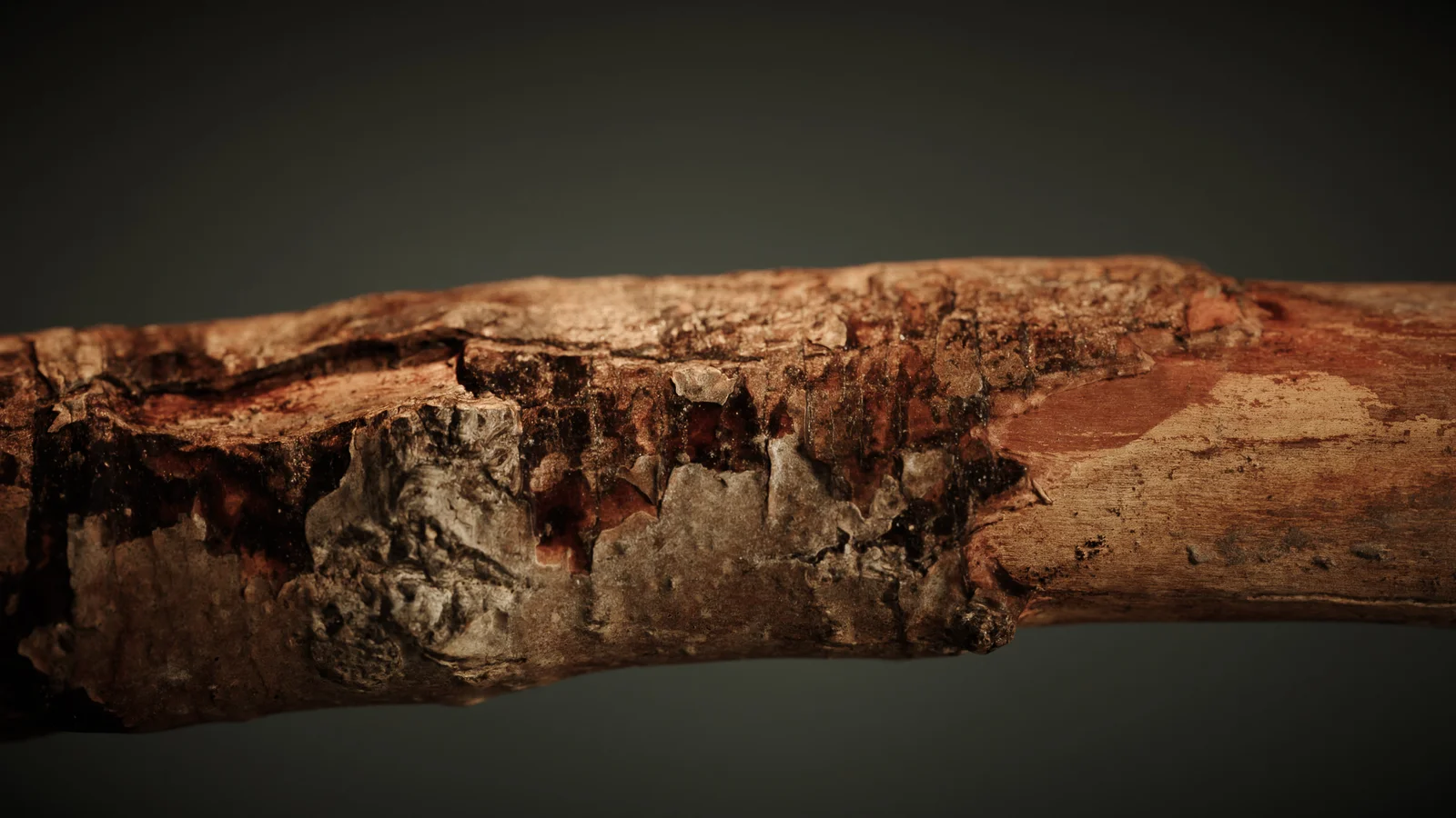 Branch 2 screenshot 6