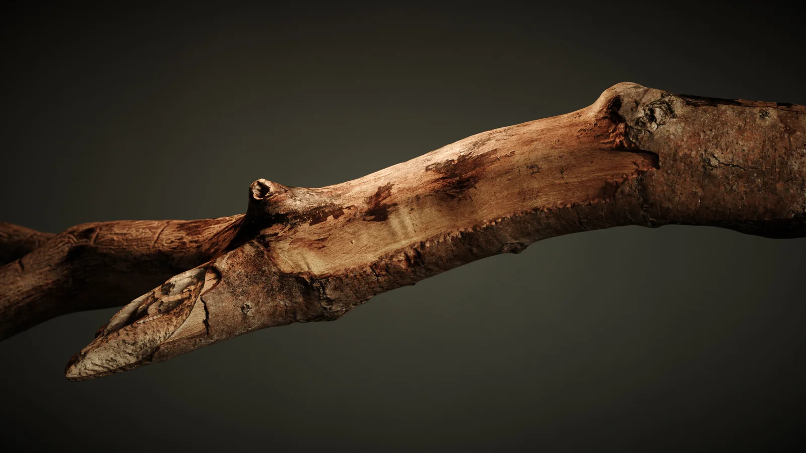 Branch 2 screenshot 8