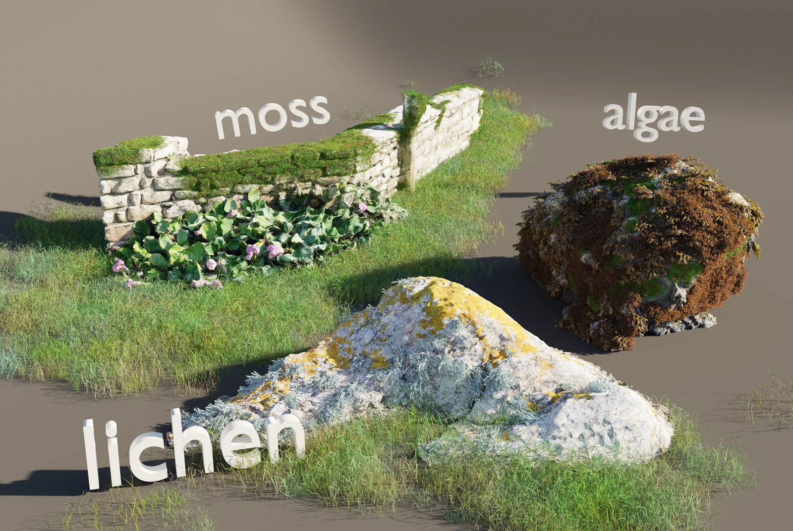 Breton Coast Rocks screenshot 4