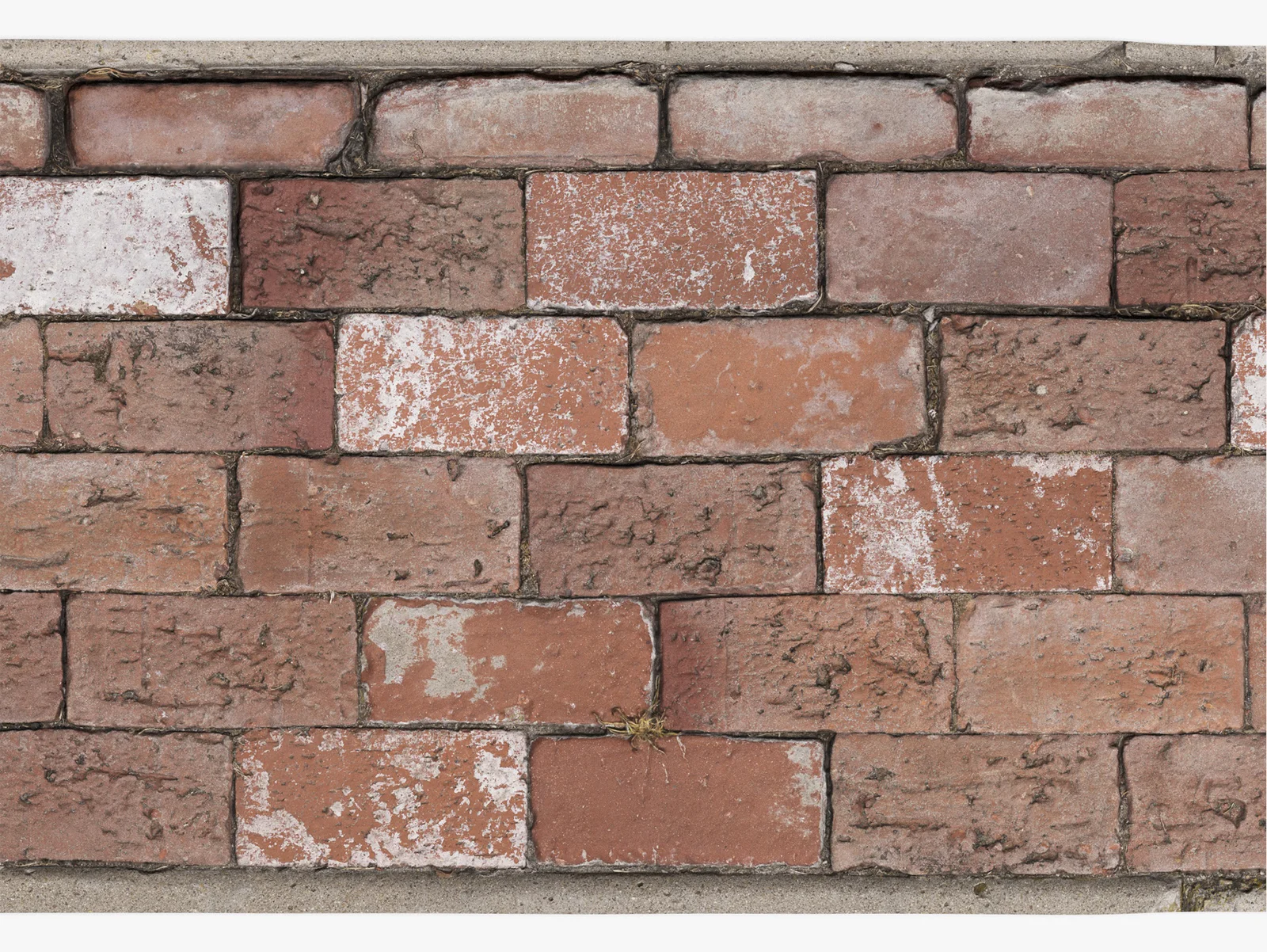 Brick Sidewalk Scan screenshot 4