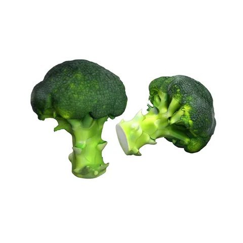Broccoli Scan - Blender 3d models