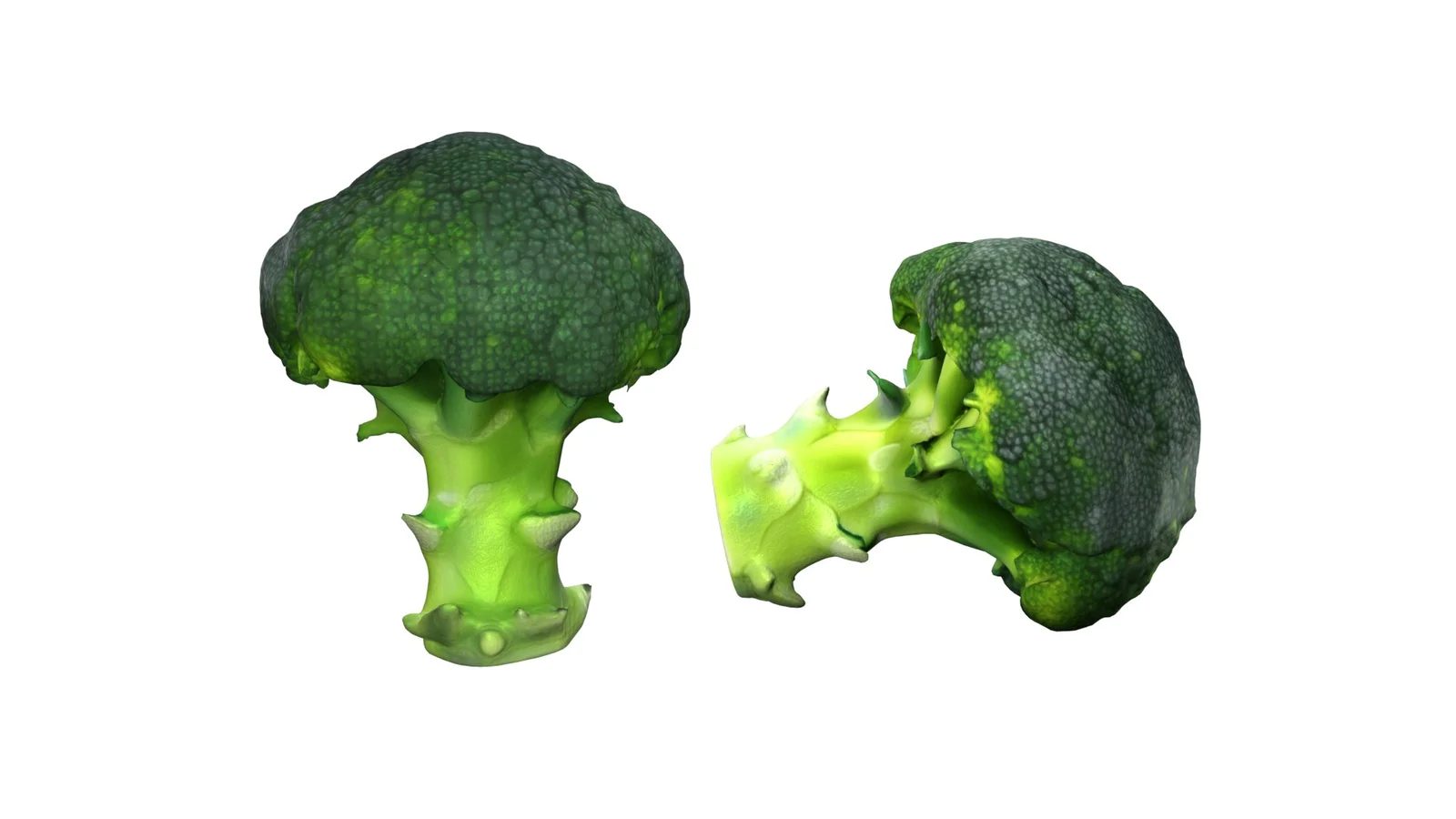 Broccoli Scan screenshot 3
