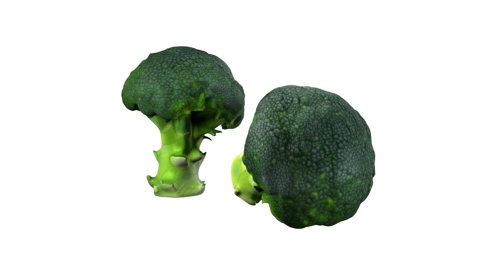 Broccoli Scan screenshot 4