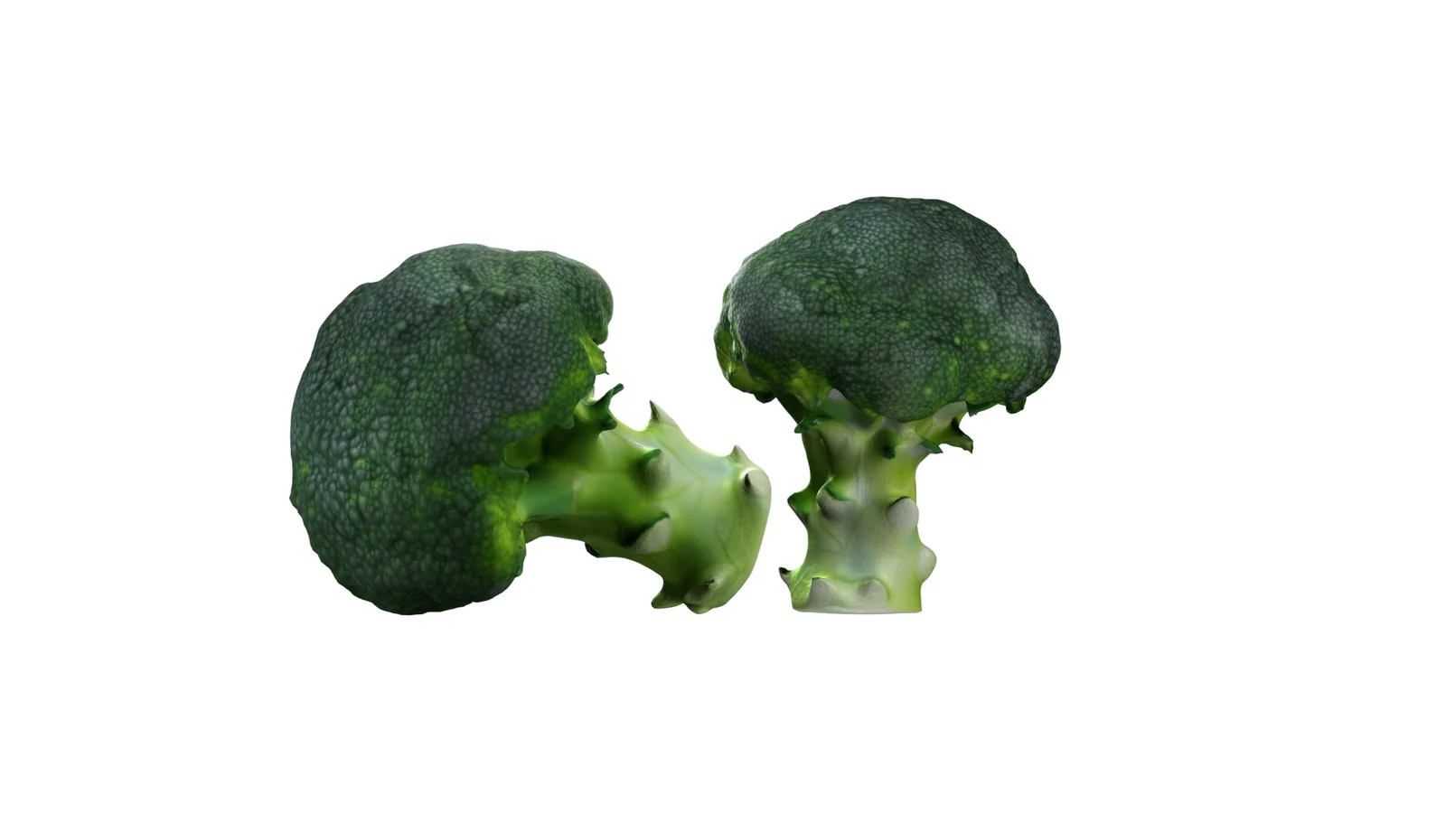 Broccoli Scan screenshot 5