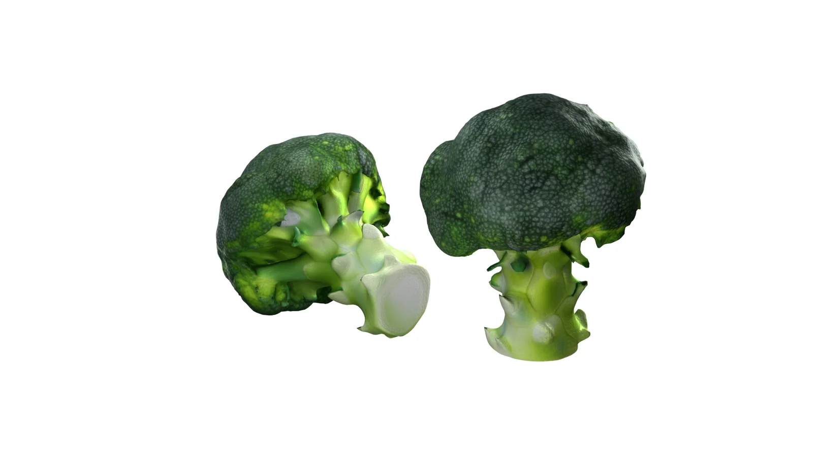 Broccoli Scan screenshot 6