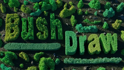 BushDraw - Blender geometry nodes