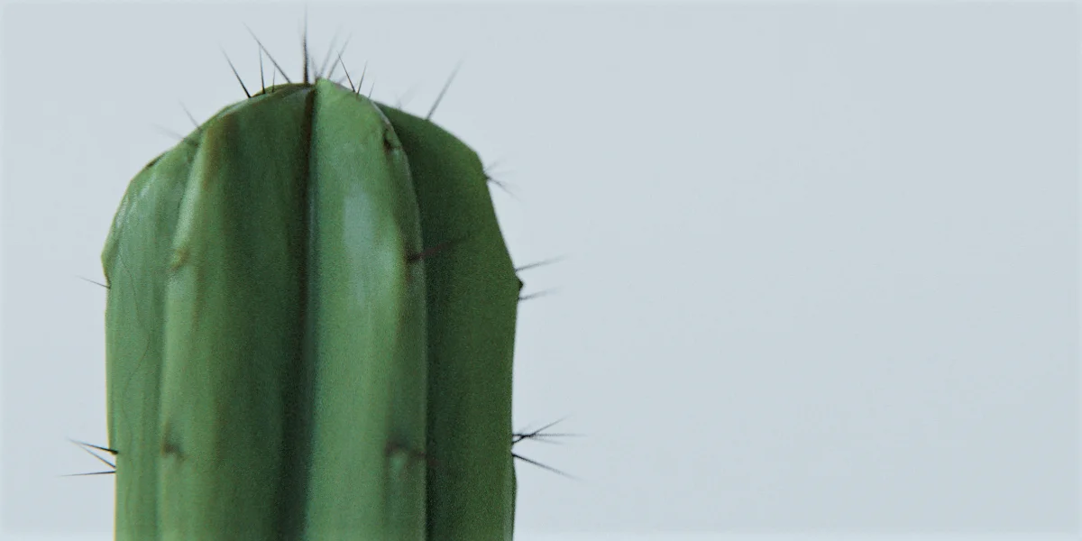 Cactus screenshot 4