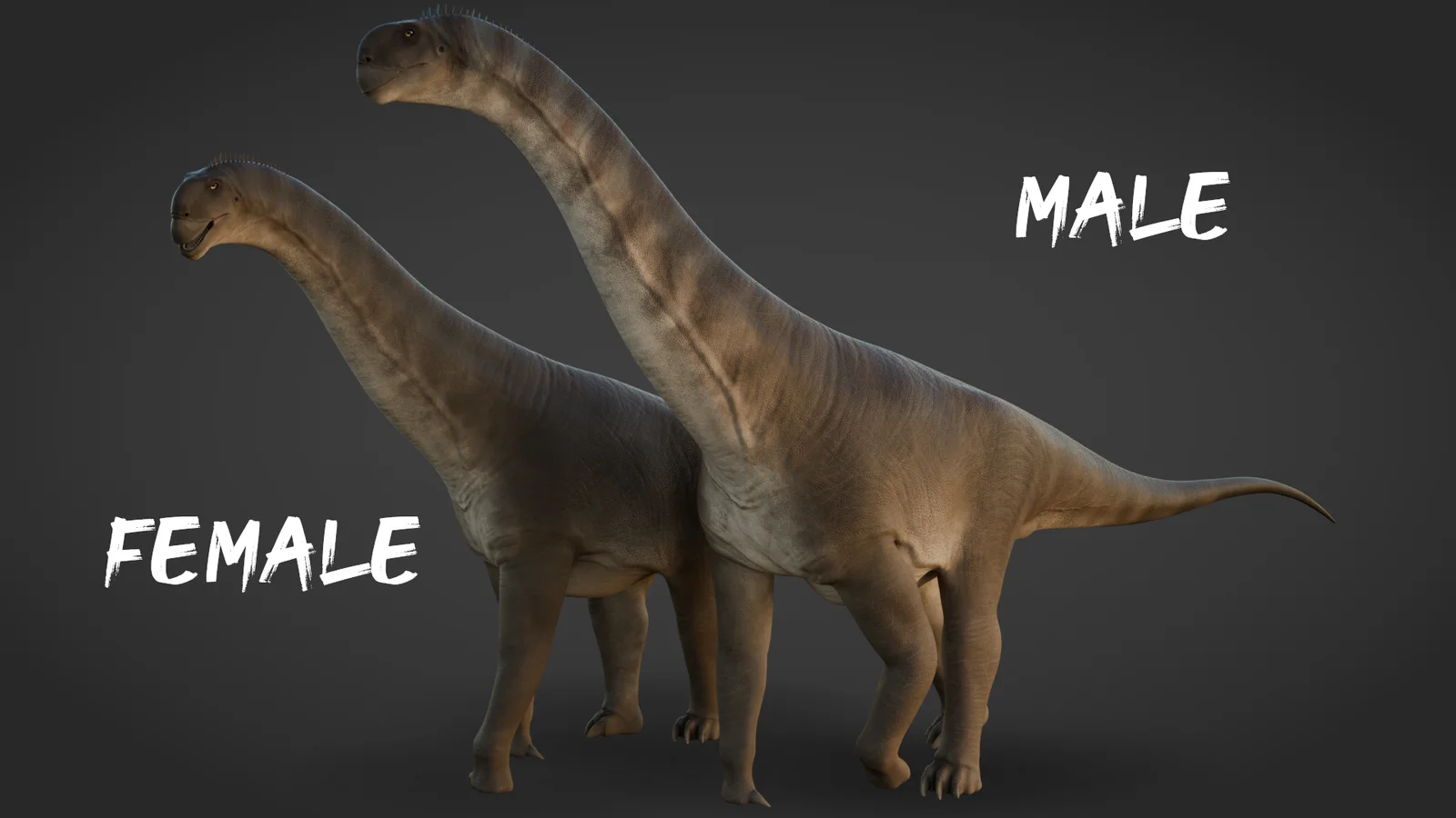 Camarasaurus screenshot 5