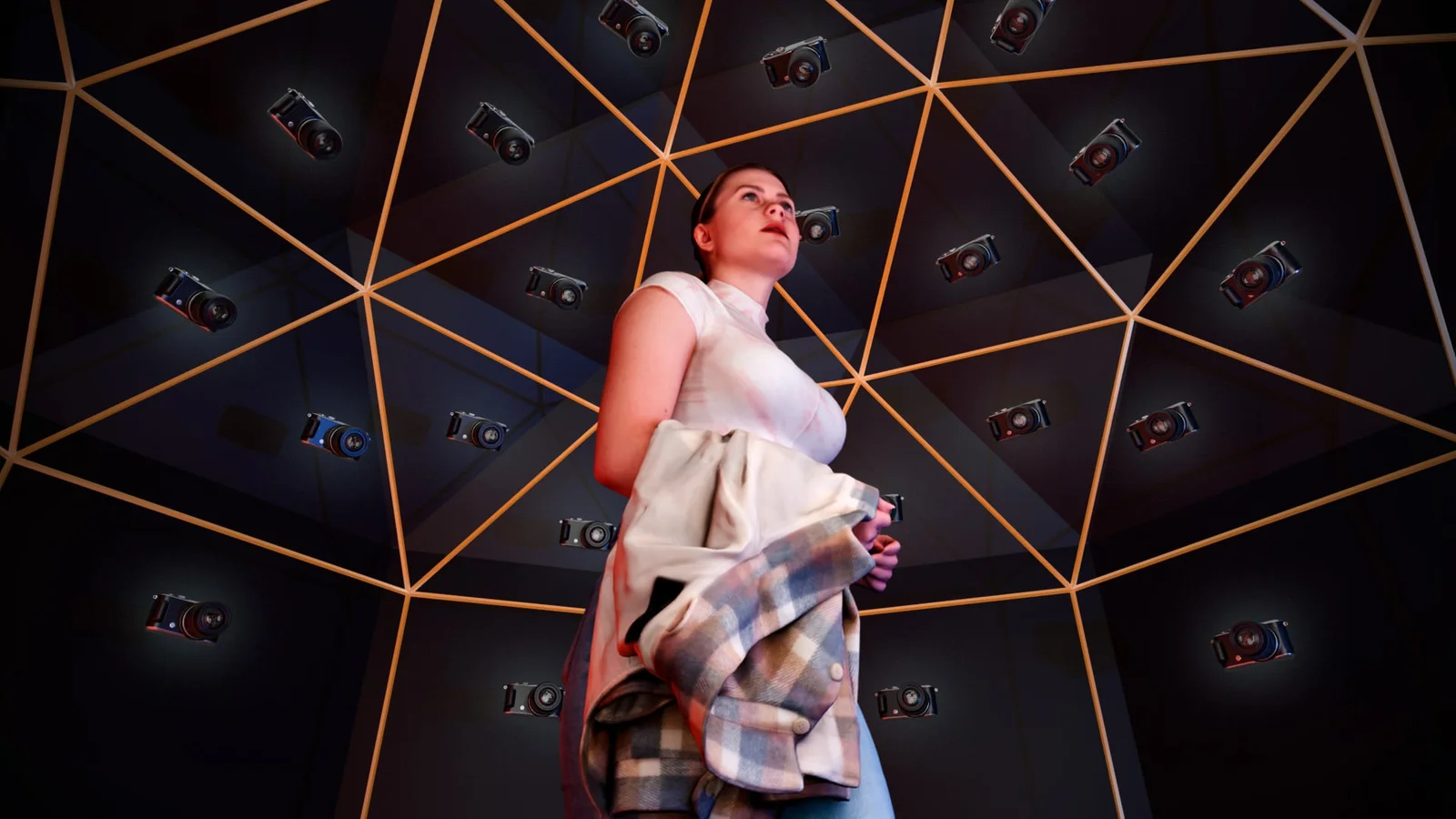 Camera Array Tool screenshot 5