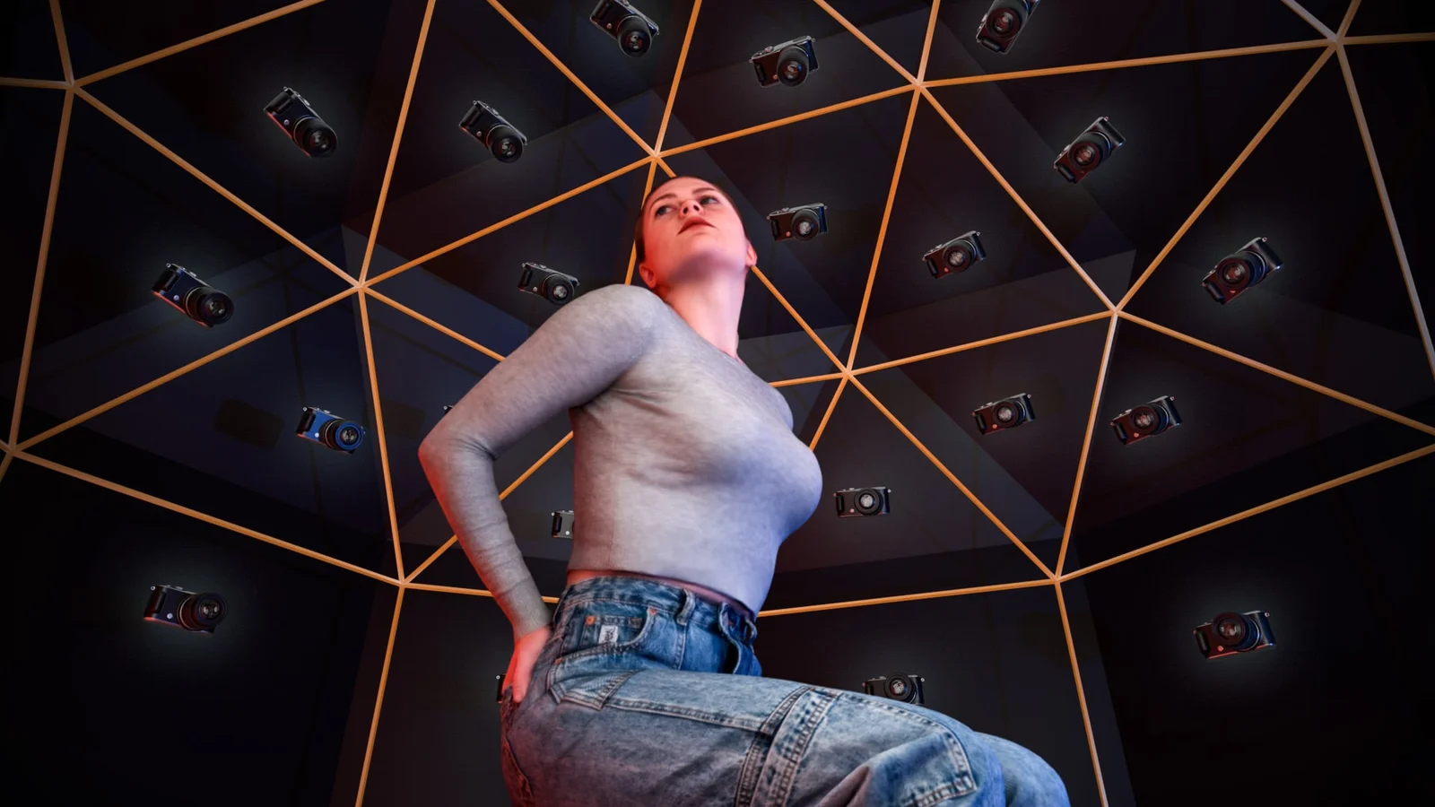 Camera Array Tool screenshot 7