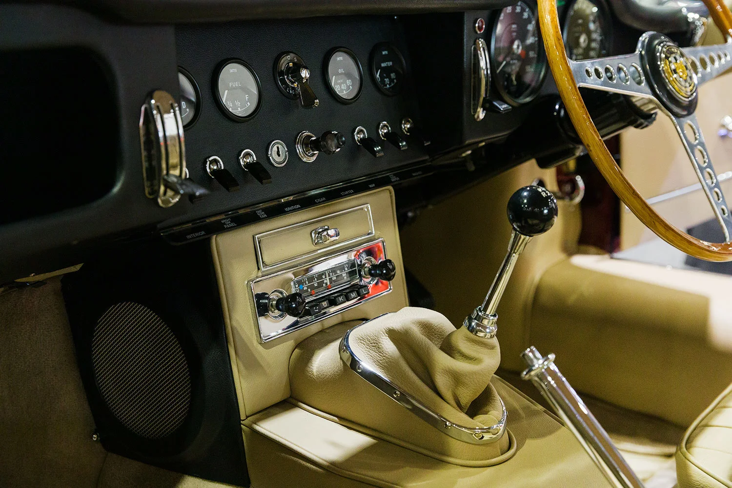 Car Show screenshot 3