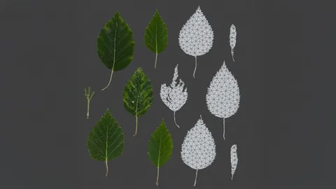 CardCutter - Blender addons