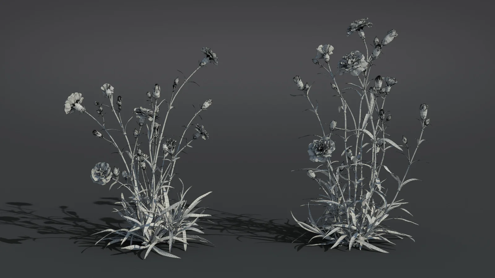 Carnation Flower screenshot 8