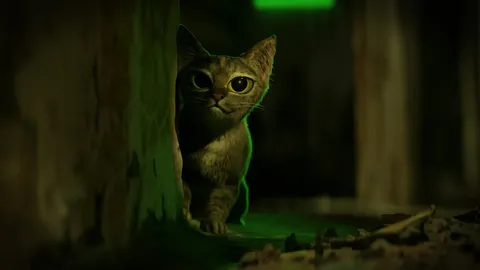 Manchas Stylized Cat - Blender 3d models