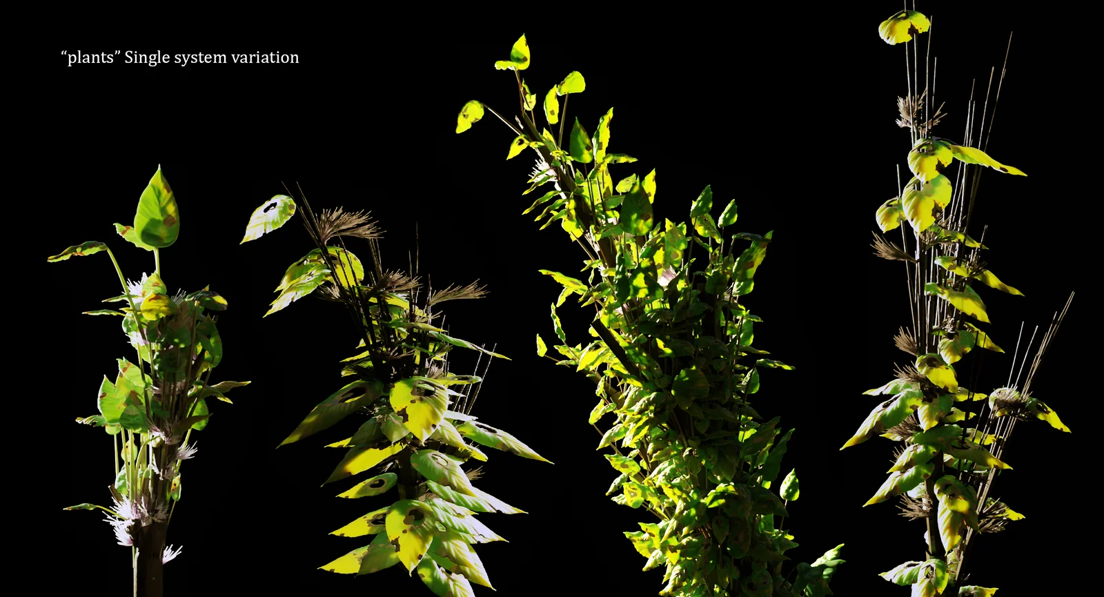 Procedural Plants & ToonStreet screenshot 5