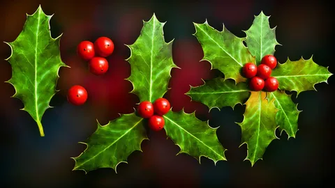 Christmas Holly Berries & Leaves - Blender 3d models