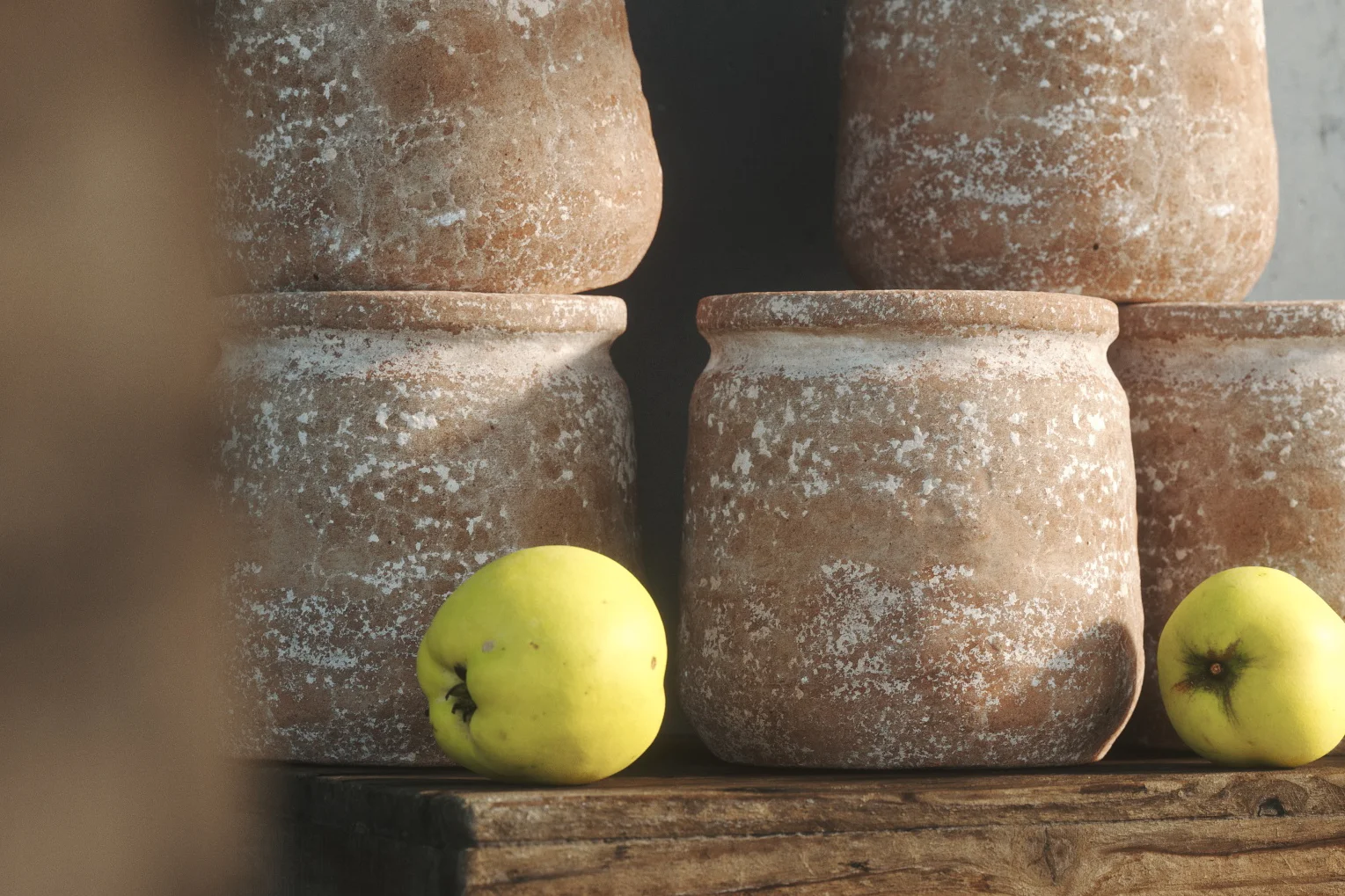 Clay Pot 01 screenshot 8