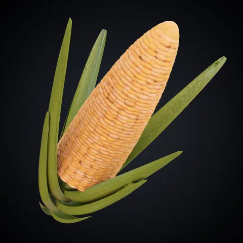 Procedural Corn Material - Blender shaders