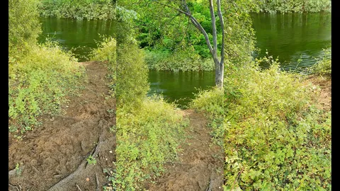 Riverside Scene Tutorial - Blender tutorials & courses