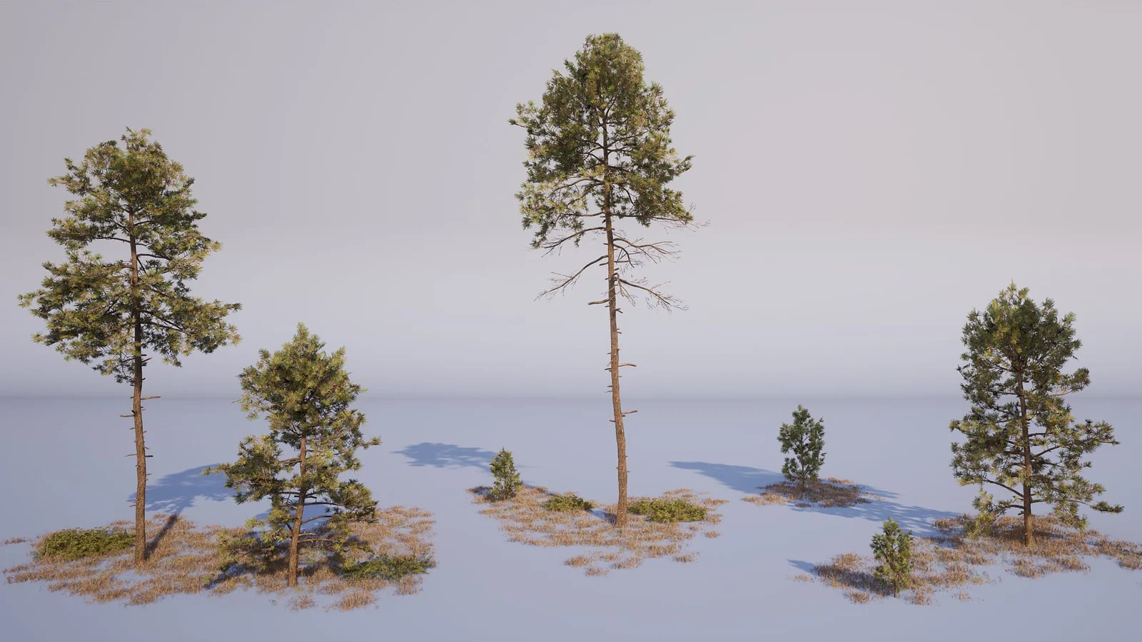 Creating Vegetation for Games screenshot 7