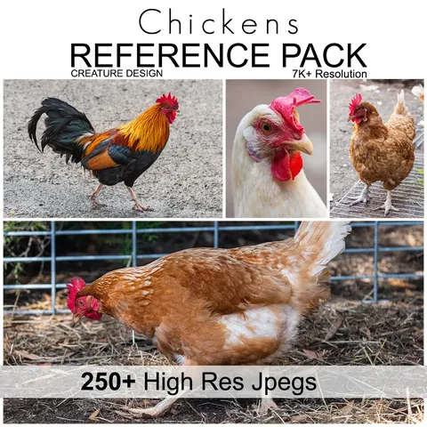 Creature Design Reference: Chickens - Blender textures & materials