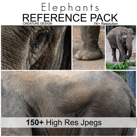 Elephant Reference Textures - Blender textures & materials