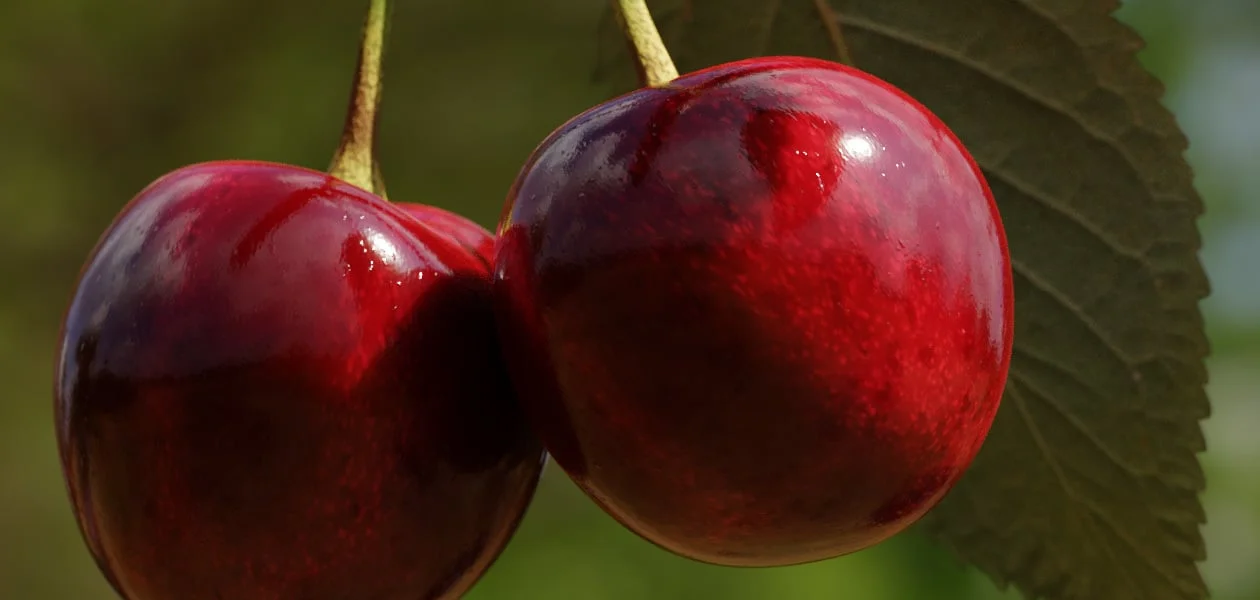 CW Cherry screenshot 2