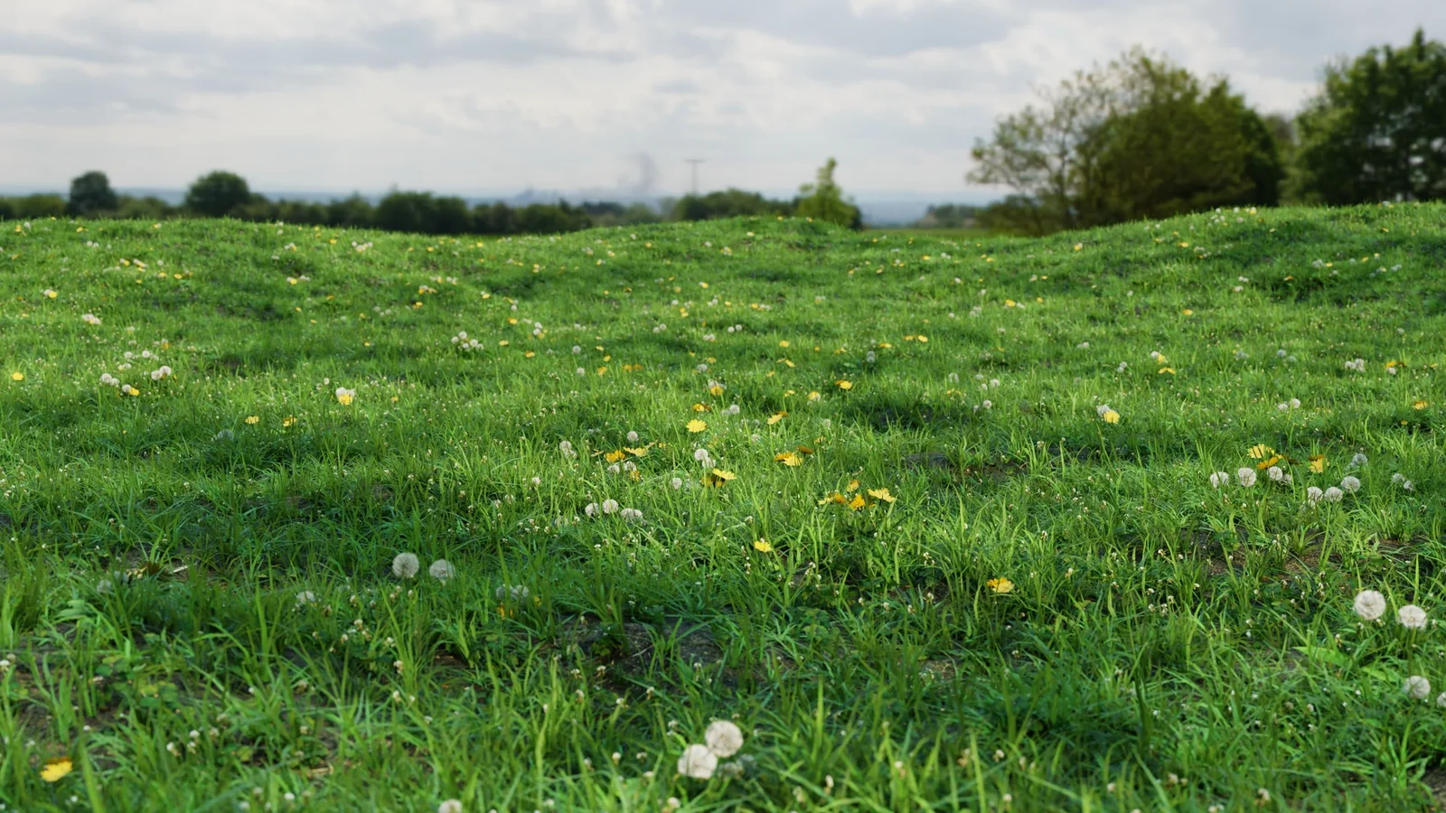 Dandelion Model Pack screenshot 3
