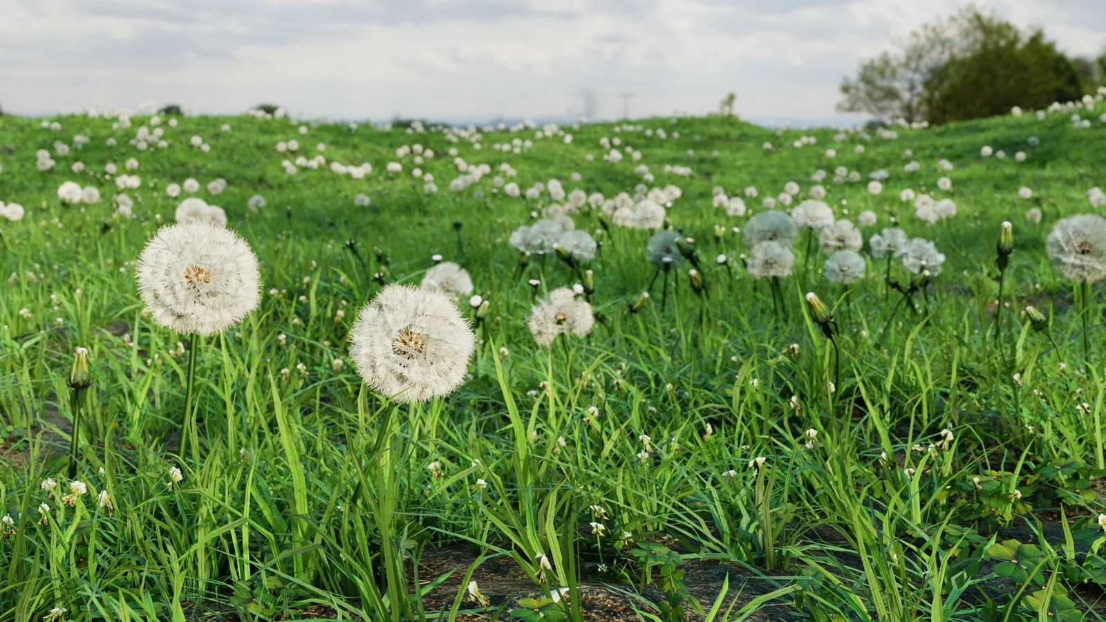 Dandelion Model Pack screenshot 5