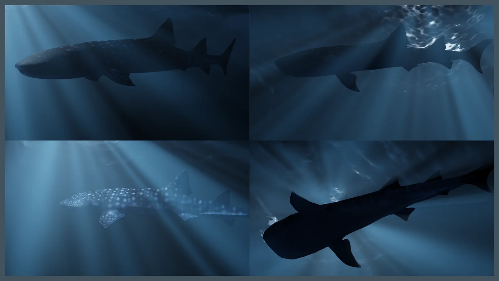 Deep Ocean Environment screenshot 7