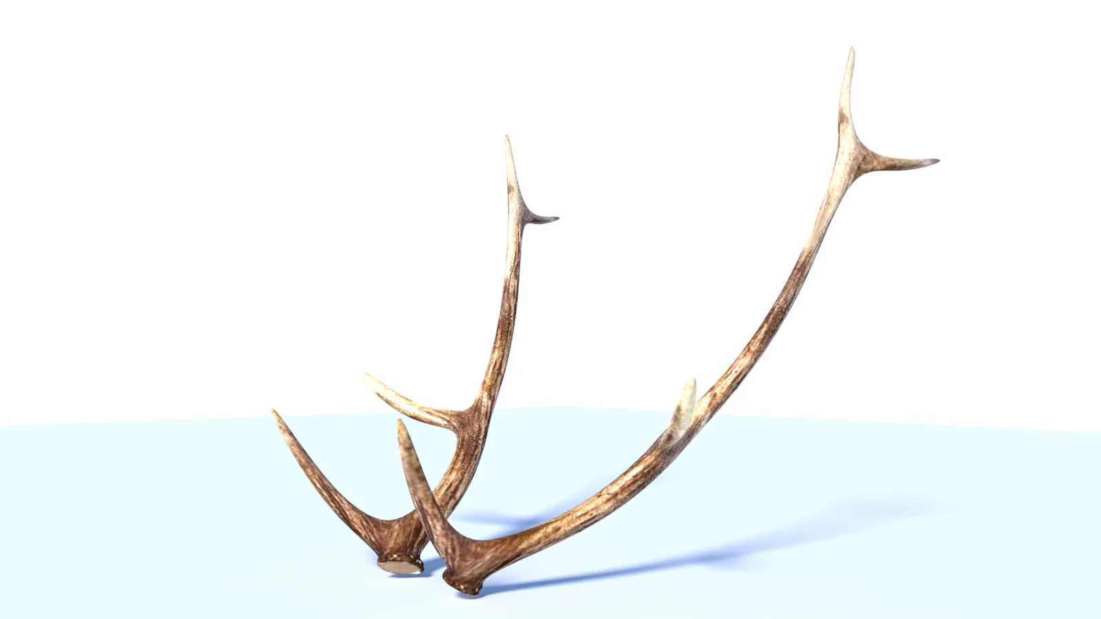 Deer Antlers screenshot 2