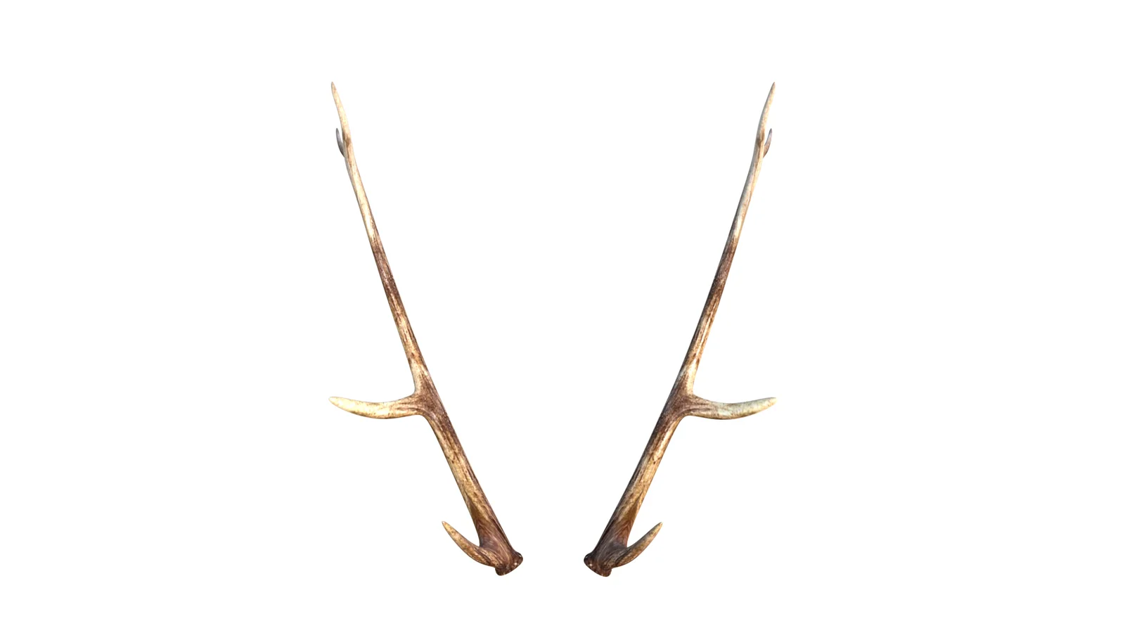 Deer Antlers screenshot 4