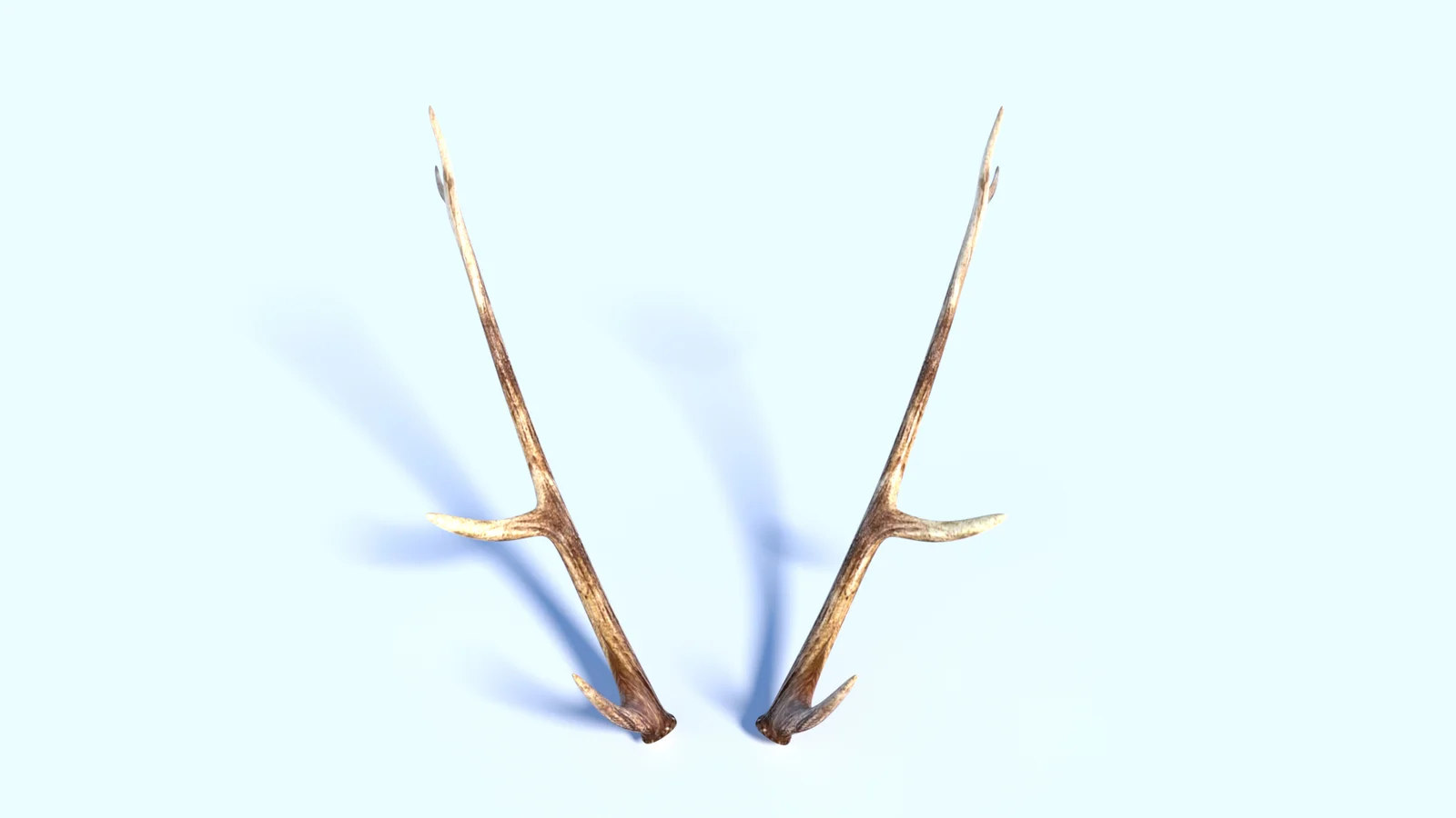 Deer Antlers screenshot 5